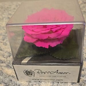 Pink Preserved Rose